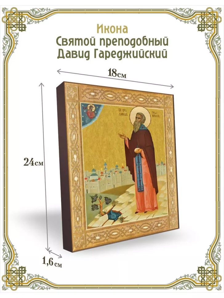 Икона святой преподобный Давид Гареджийский в киоте